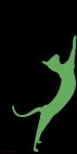 CHAT ORIENTAL LION ORANGE Lion Showroom - Inkjet sur plexi, éditions limitées, numérotées et signées .Peinture animalière Art et décoration.Images multiples, commandez au peintre Thierry Bisch online